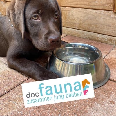 docfauna tweet picture