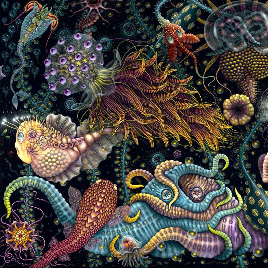 Beautiful Bizarre Magazine tweet media