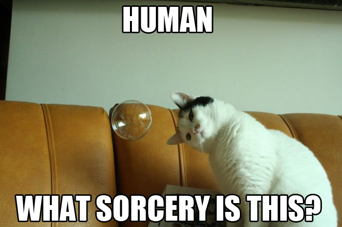 Narwhalien_52's tweet photo. Noticed #sorcery is trending, this intrigued and befuddled me. Decided to join in. Have some sorcery ... and a cat! https://t.co/nxPG81E5ba