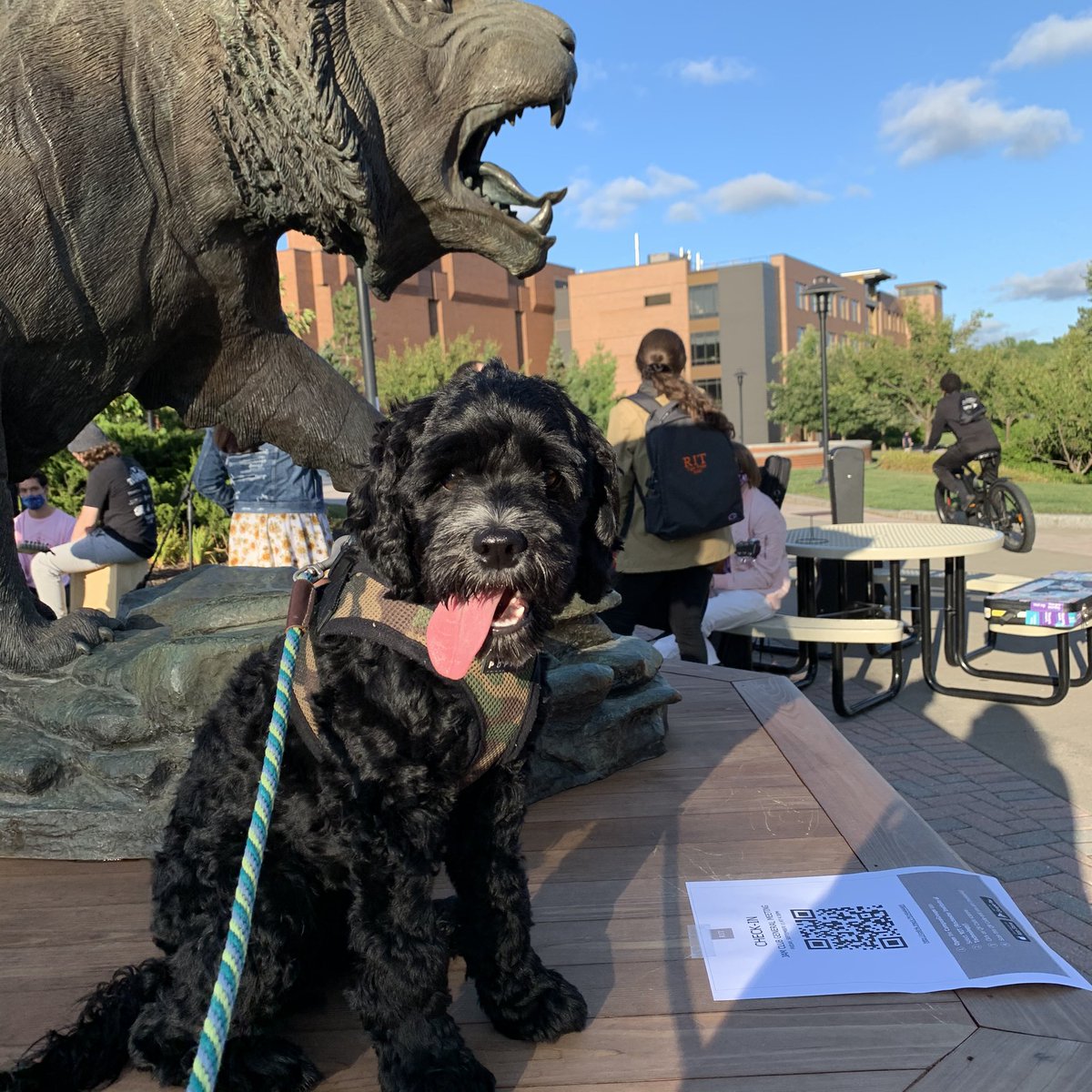 chirimoyaKris's tweet photo. My puppy Miski in heaven w/ @RITtigers students and the #RITtiger #mypuppylovespeople https://t.co/CnRADlCJBL
