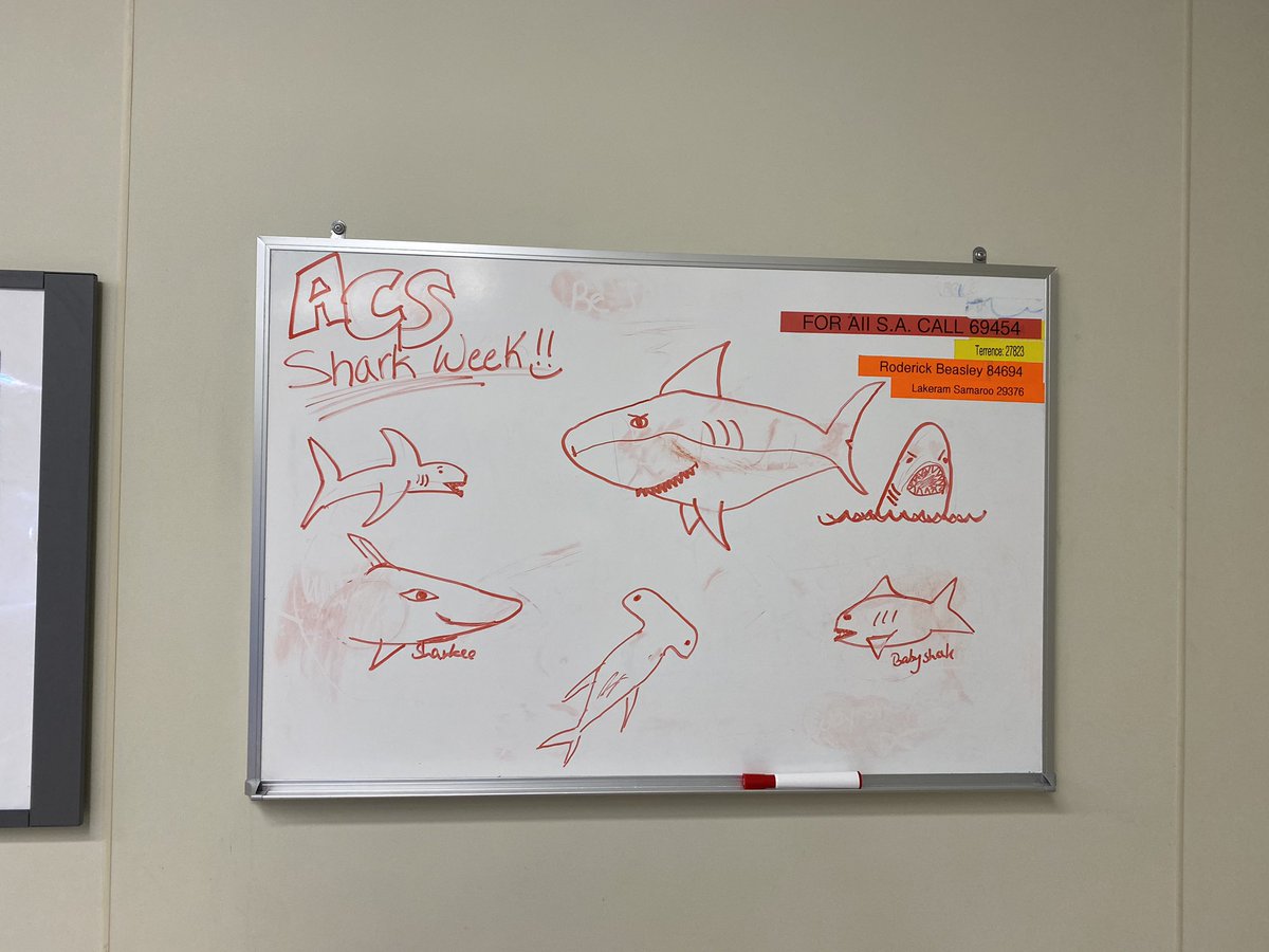 Rob Simon (@pancreas_eraser) on Twitter photo Wrapping up ACS shark week with matching scrub cap, socks, and fins!! Had a great team this week!! Justin, Rob Naples, <a href="/DavidLaczynski/">David Laczynski</a>, Oscar and Emily, Cayla, Adrienne, Heather, Michelle, etc. Wrapping up ACS shark week with matching scrub cap, socks, and fins!! Had a great team this week!! Justin, Rob Naples, <a href="/DavidLaczynski/">David Laczynski</a>, Oscar and Emily, Cayla, Adrienne, Heather, Michelle, etc.