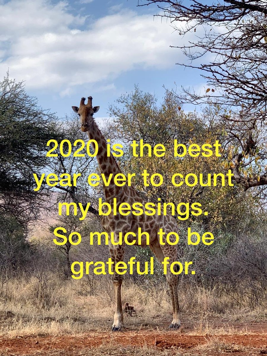 So much gratitude in 2020. Grateful for all I have and those in my life.