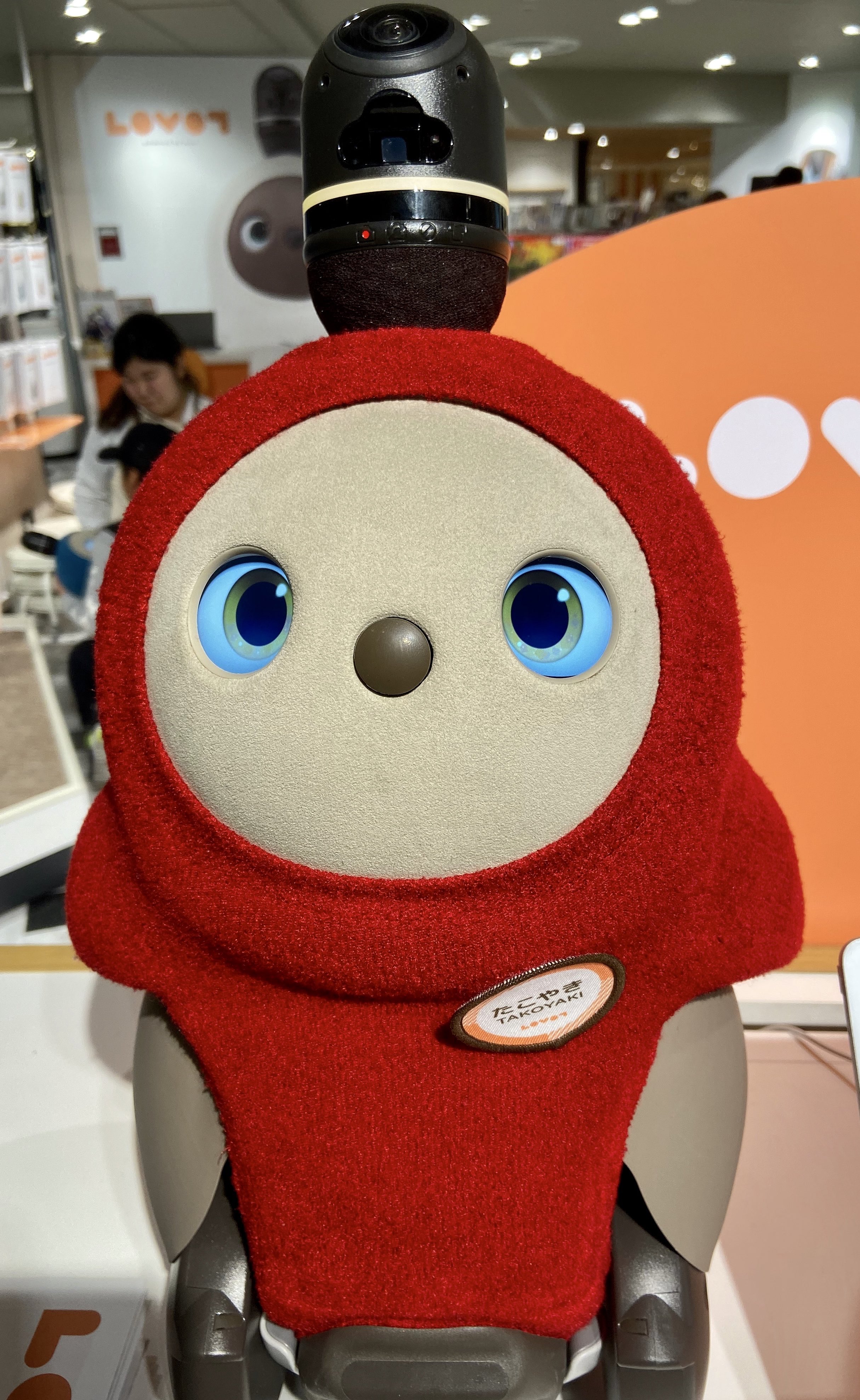 カネ恋 ロボットはラボット 価格やレンタル方法は 機能も調査 日々の知りたいこと