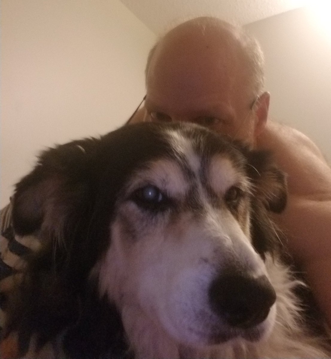 Mark Zaugg aka @Zarquil@fosstodon.org tweet media