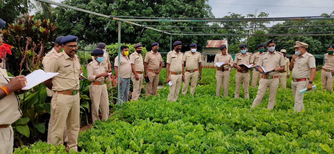 DCFNARMADA tweet media