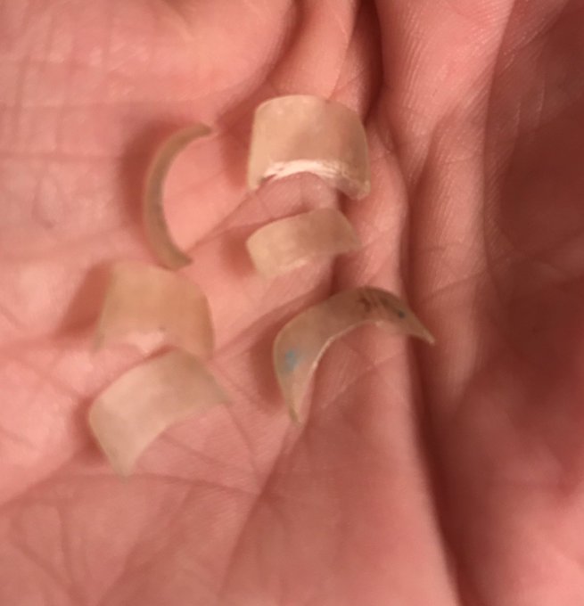 Got a nail fetish?  I just clipped my fingernails!  Buy the clipping  @manyvids 👉 https://t.co/rfyC1oYivx<a href="/tag/mvsales"class="tags"><span>#mvsales</span></a>