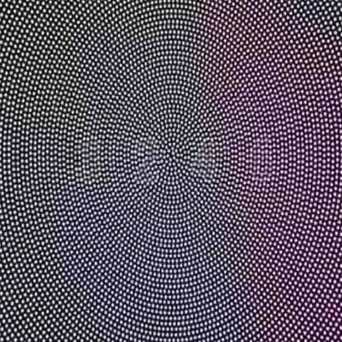 あなたはどの数字が見える？健康な目だと1240と見える！