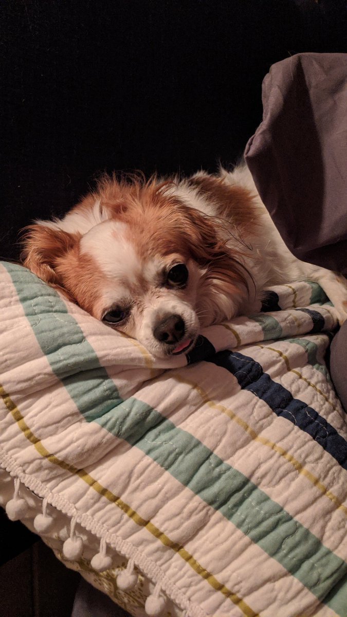 Glass 3 and that bottle is done. Plus my assistants are sleeping on the job...