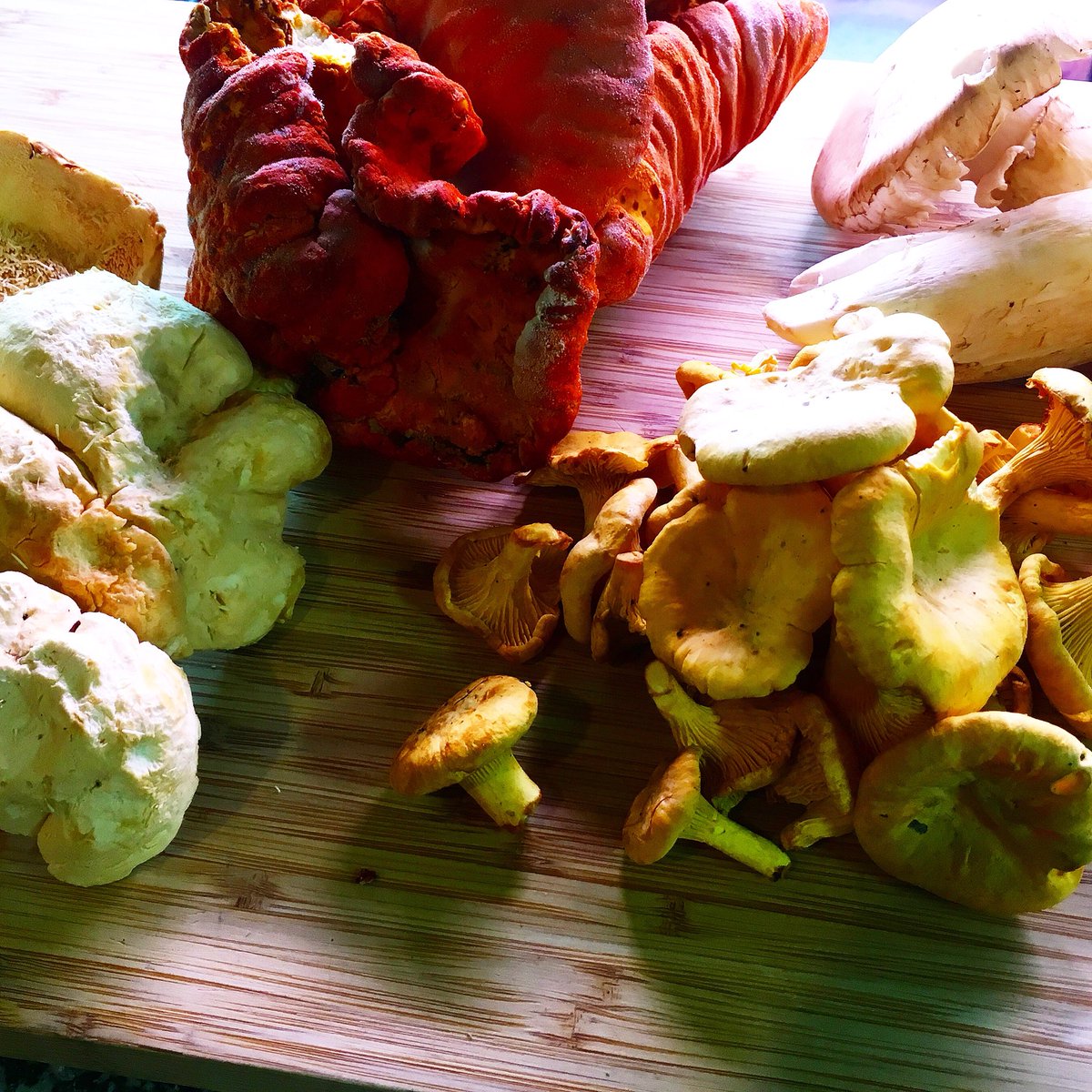Found in the woods, available to you at The Piggy: Mushrooms!  Pied de Mouton, Lobster, Chanterelles, Matsutake, and Hen of the Woods (hen not pictured). We’re open Saturday 11-6!