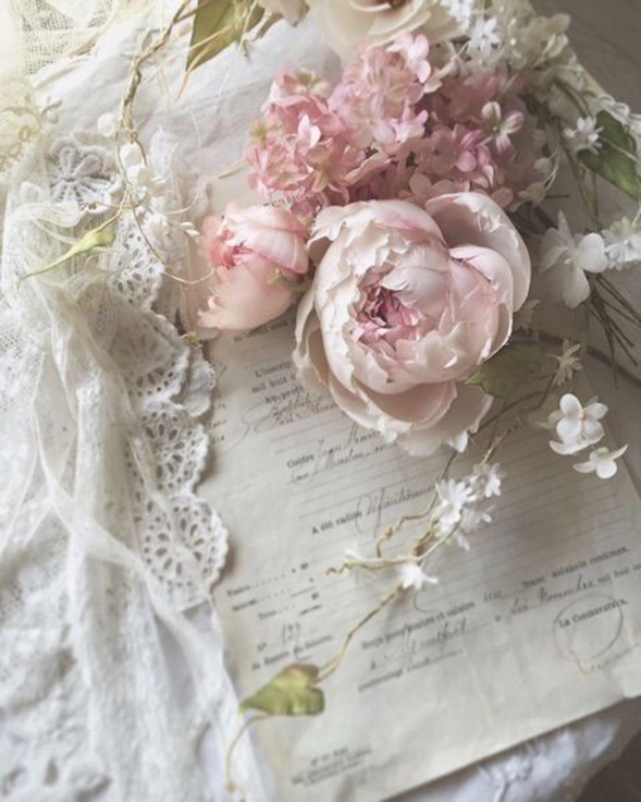 Elisa Arana tweet media