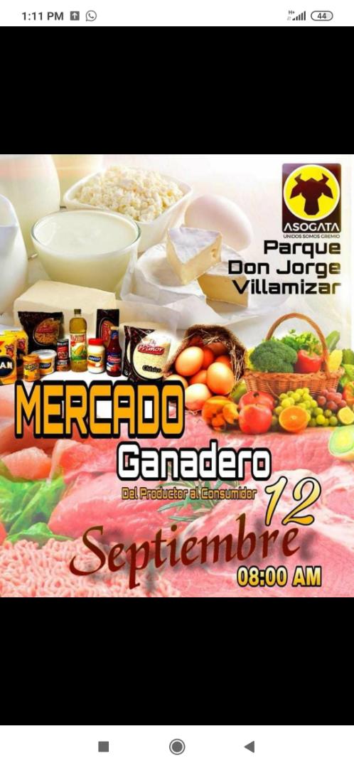 ASOGATA - Asociación de Ganaderos del Táchira tweet media