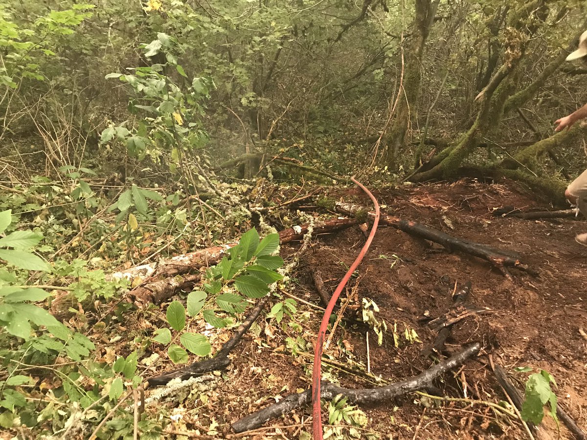 Multnomah Co. Sheriff’s Office (@multcoso) on Twitter photo We are at a loss for words. Deputies & <a href="/Corbett_Fire/">Corbett Fire</a> responded to a small brush fire in the 1700 block of NE Brower Rd in Corbett at 3:52pm. Neighbors heard pops and saw 6ft flames in the forest. Using a shovel and water, they were able to put it out. Deputies found fireworks... We are at a loss for words. Deputies & <a href="/Corbett_Fire/">Corbett Fire</a> responded to a small brush fire in the 1700 block of NE Brower Rd in Corbett at 3:52pm. Neighbors heard pops and saw 6ft flames in the forest. Using a shovel and water, they were able to put it out. Deputies found fireworks...
