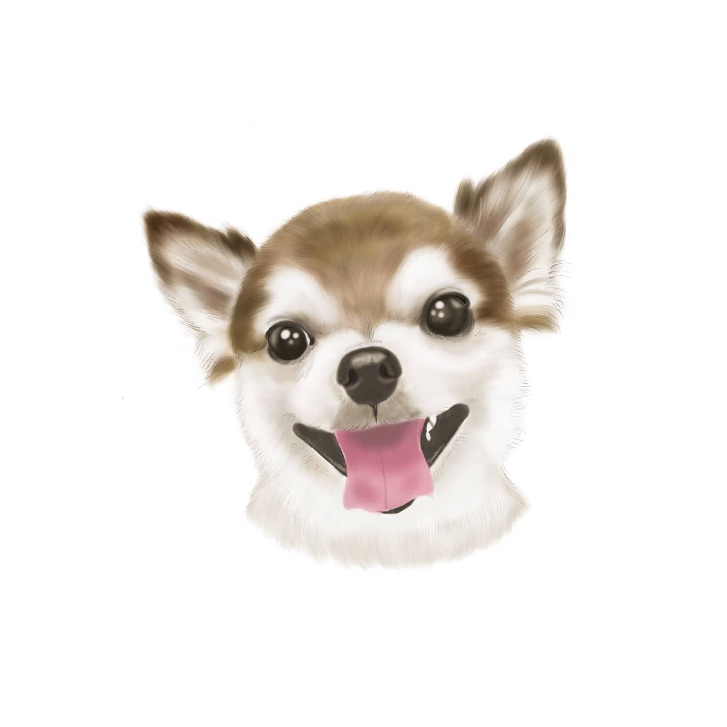 チワワイラスト Twitter Search Twitter