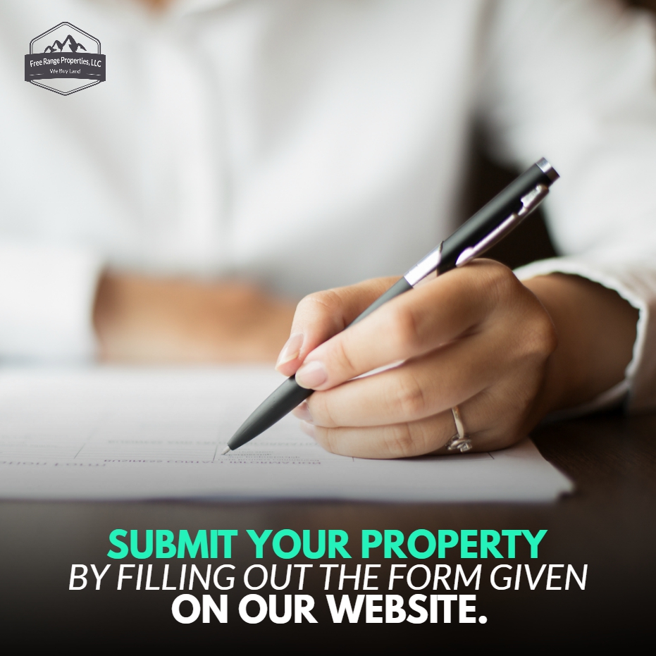 FreeRangeProp's tweet image. We’ll automatically receive your information and begin our review process. We look at county data, recent sales data, and research comparable properties to determine what we can offer you for your property.
-----
Learn more: freerangeproperties.net

#freerangeproperties #land