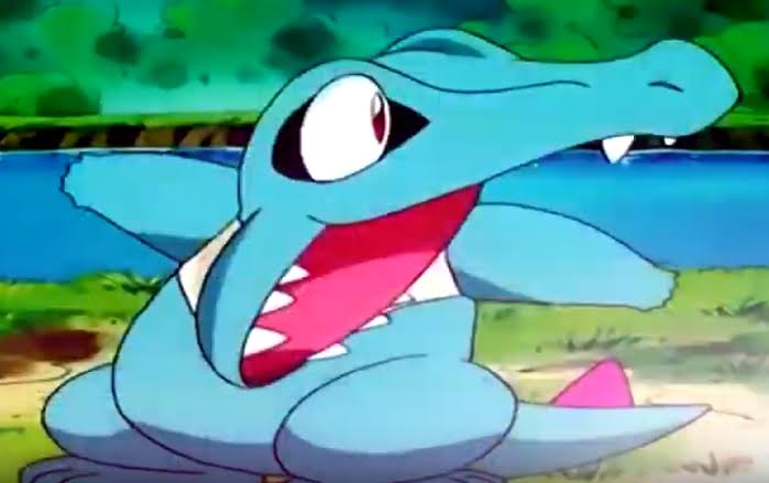 Totodile used Scary Face! : r/pokemon