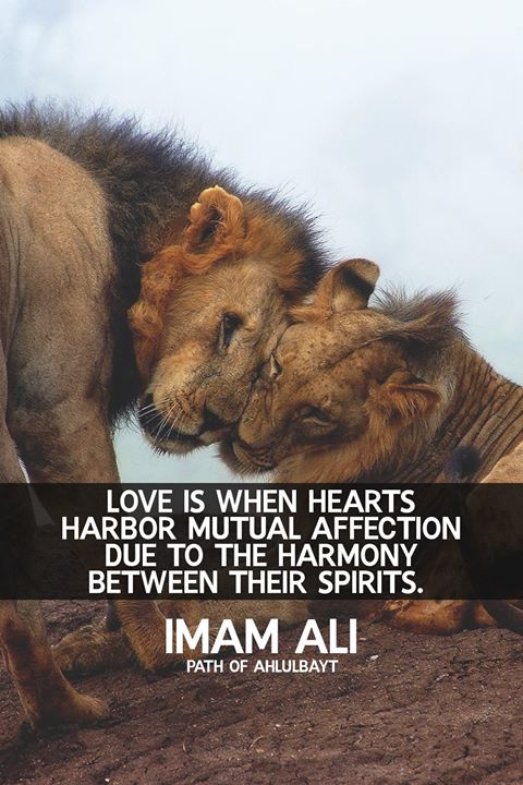 tom_om2012's tweet photo. ✨ Type YES if you agree ✨

Like FREE Daily Healing? Join below:
>>>https://t.co/onLDtmAbNm... https://t.co/7YSPmRZAI0