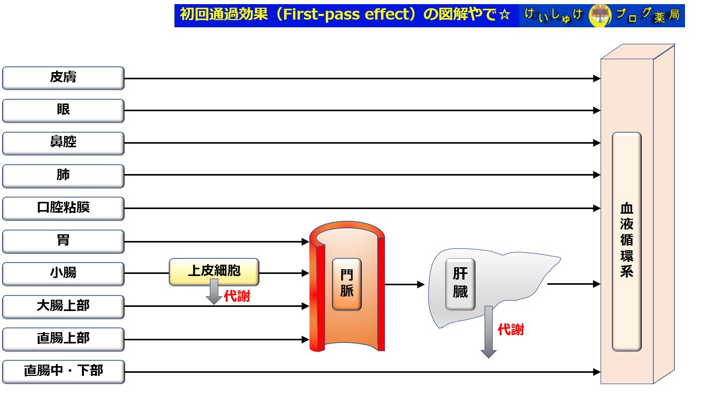 通過 効果 初回 肝