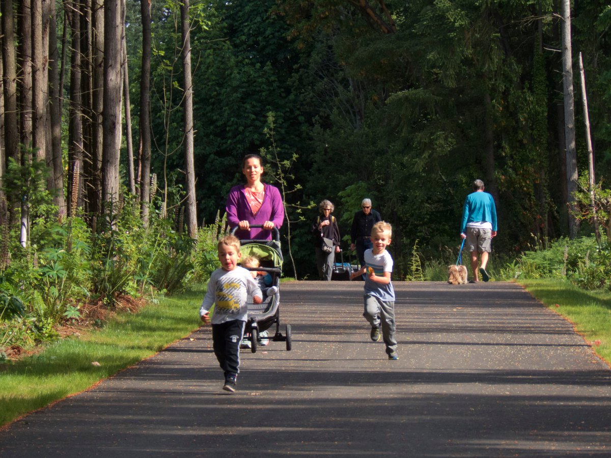 check out the beautiful photos and latest information on the Sound to Olympics Trail.  sustainablebainbridge.org/programs/bainb…
