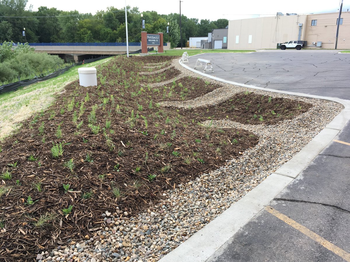 DustinDemmer's tweet photo. This rain #garden we planted is now 1 year old. Captures and infiltrates 4,000 gallons of water from the parking lot during a 1inch rainfall. Has over 2,700 native plants and is full of monarchs in Aug/Sept! At the Woolen Mill in Faribault, MN, right off I-35: @faribaultmill https://t.co/zSDGigvL2l