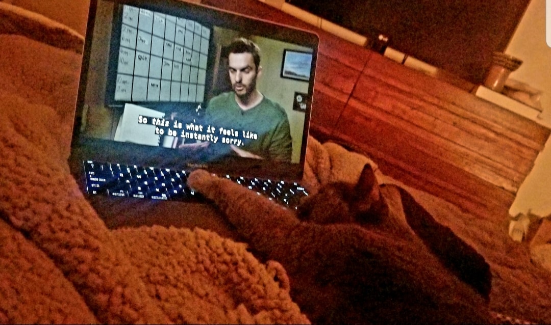 mtndwGHOST's tweet photo. @New_GirlTV 
Who's that girl?? It's my girl Monk watching her favorite person on #newgirl . Don't worry she loves everyone...Ferguson is questionable though. https://t.co/yJ1XYwKnHt