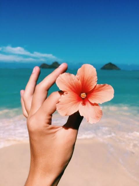 teamslds's tweet photo. INSPIRAÇÕES DE TATUAGENS https://t.co/WD2Qub6WDs