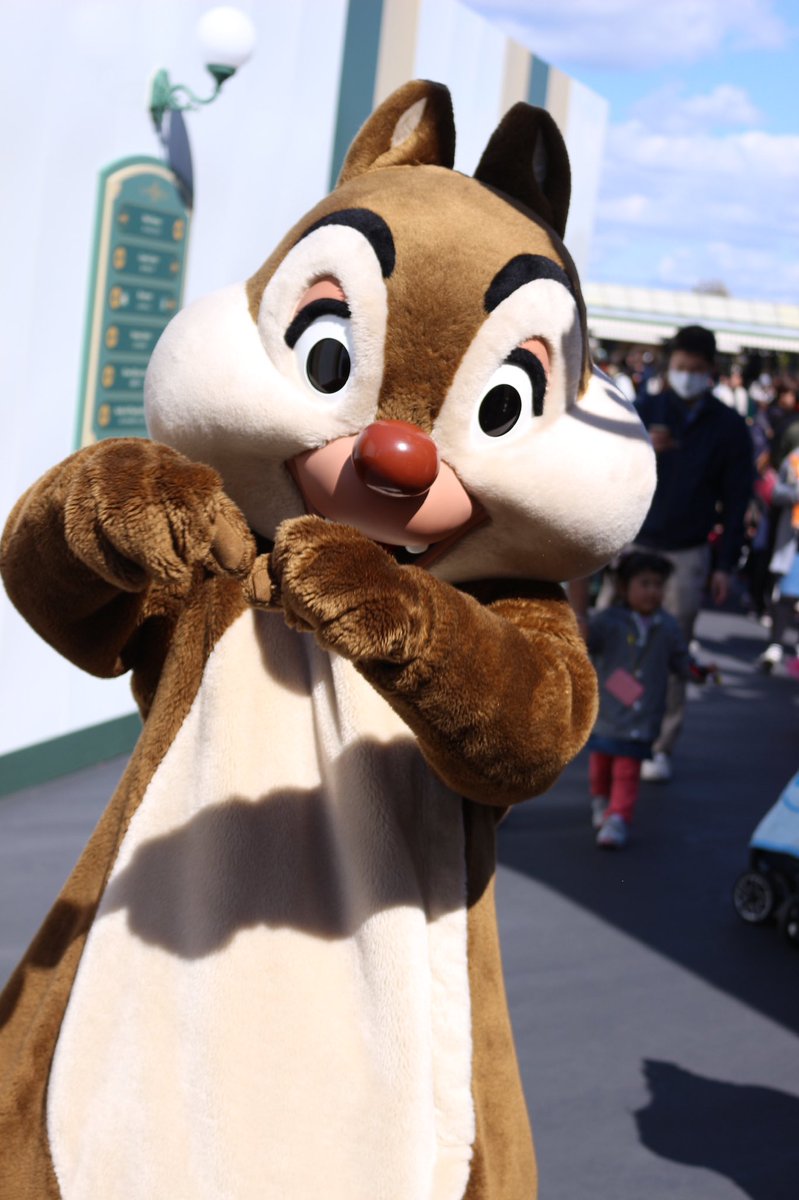 ChipDale_Haru's tweet photo. D垢🏰 共通/関東/チデヲタ/ミート🙆🏼‍♀️/月2~3

 #twitter上にいるDヲタ全員と繋がるのが密かな夢だったりするのでとりあえずこれを見たDヲタはRTもしくはフォローしていただけると全力でフォローしに行きます https://t.co/coNKkbQs7j
