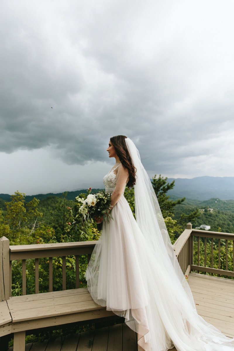 Hawkesdene's tweet photo. Okay, folks... Is this photo not BEYOND breathtaking? Strength, beauty &amp; elegance 💚 © 2020 Bailey Batten Photography https://t.co/7MdpYHf0bB