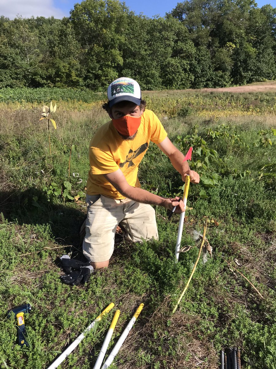 OngLab1's tweet photo. @SpencerHardy19 places our first permanent marker in our future agroforestry expt! https://t.co/XoOqO31UAg