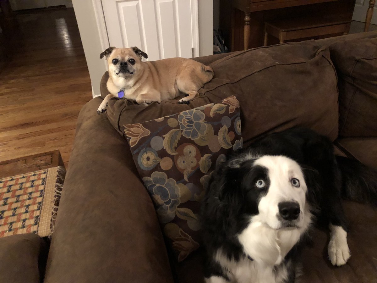 Bob Evarts tweet media