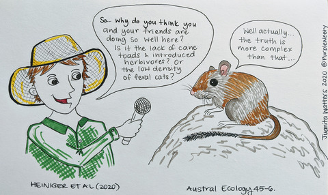 #RT <a href="/AustralEcology/">#AustralEcology</a>: New #AustralEcology paper on the status of native mammals on Groote Eylandt. The relative health of populations is likely due to feral cat low density, benign fire regime, and absence of large introduced herbivores and cane toads. @E…