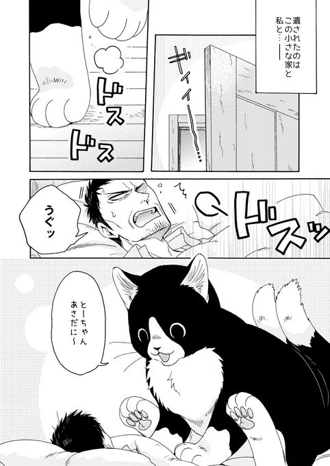 ねこまたとあさごはん② 