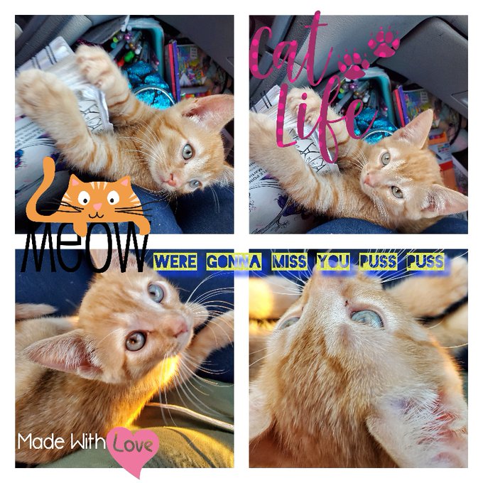 #photofy #photofyapp @photofyapp https://t.co/svFLE54Q1d<a href="/tag/photofy"class="tags">#photofy</a><a href="/tag/photofyapp"class="tags">#photofyapp</a><a class="tags" target="_blank" title="On Twitter" href="/?out=eyJ0eXAiOiJKV1QiLCJhbGciOiJIUzUxMiJ9.eyJpYXQiOjE3MjQ5NDAzOTksImlzcyI6InR3cG9ybnN0YXJzLmNvbSIsIm5iZiI6MTcyNDk0MDM5OSwiZXhwIjoxNzU2NDc2Mzk5LCJyZWRpcmVjdF91cmwiOiJodHRwczovL3R3aXR0ZXIuY29tL3Bob3RvZnlhcHAifQ.5ustrHk1MRGSasrd70HLObN0awj0IXXqUF7THxKgXBueYzuMUS8Kf7cHmPM7uL-5eufczrruU2qbIzPBkalnYg">@photofyapp</a>