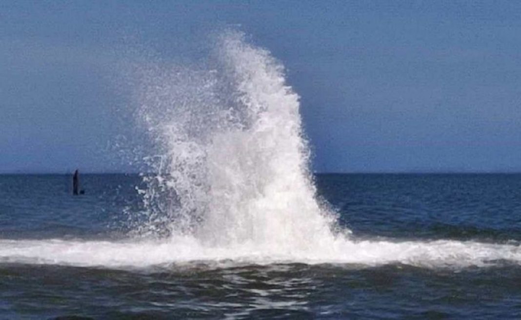 el_carabobeno tweet picture