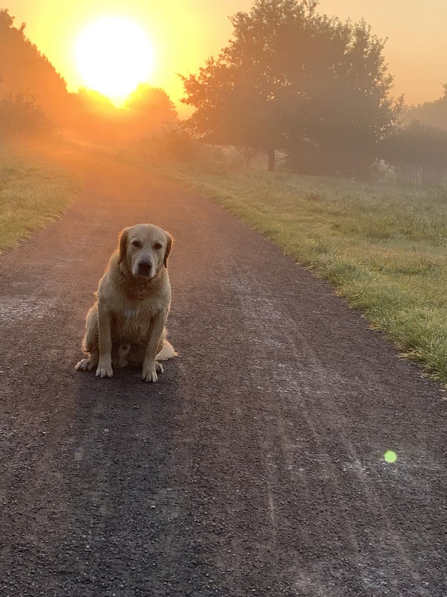 Μη φοβάσαι τη μοναξιά.
Η μοναξιά, ειναι καλη φίλη ,γιατι ειναι πιο τίμια,και καλύτερη ,απο κρύες αγκαλιές.

Καλημέρες πολλες. 
Καλο Σαββατοκύριακο.