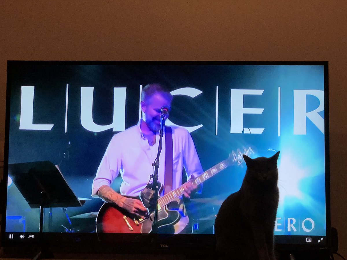 First time taking my cat to a <a href="/luceromusic/">Lucero</a> show. She’s a stage jumper, apparently. Buying the band virtual whisky shots. Cheers! 🥃