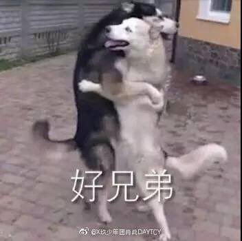 1. don’t think i can’t see you2. ok, stop talking3. bros 4. slow reaction