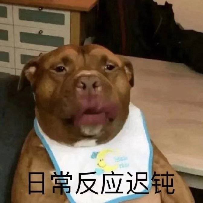 1. don’t think i can’t see you2. ok, stop talking3. bros 4. slow reaction