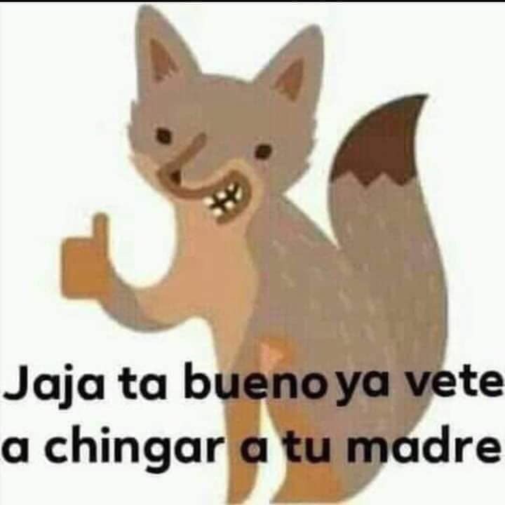 Lizlmlxd's tweet photo. @robertoguerrasa https://t.co/QORD0Kfim8