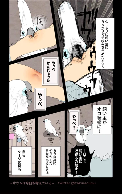 咬みついてから反省したり逆ギレしたりするオウム。
色々考えているようです。
#漫画 #オウムは今日も考えている 