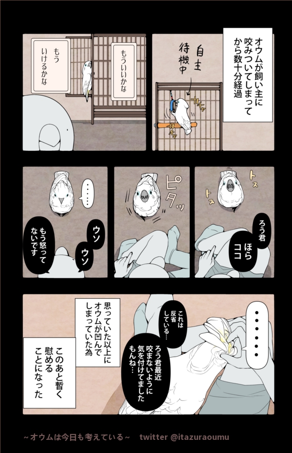 咬みついてから反省したり逆ギレしたりするオウム。
色々考えているようです。
#漫画 #オウムは今日も考えている 