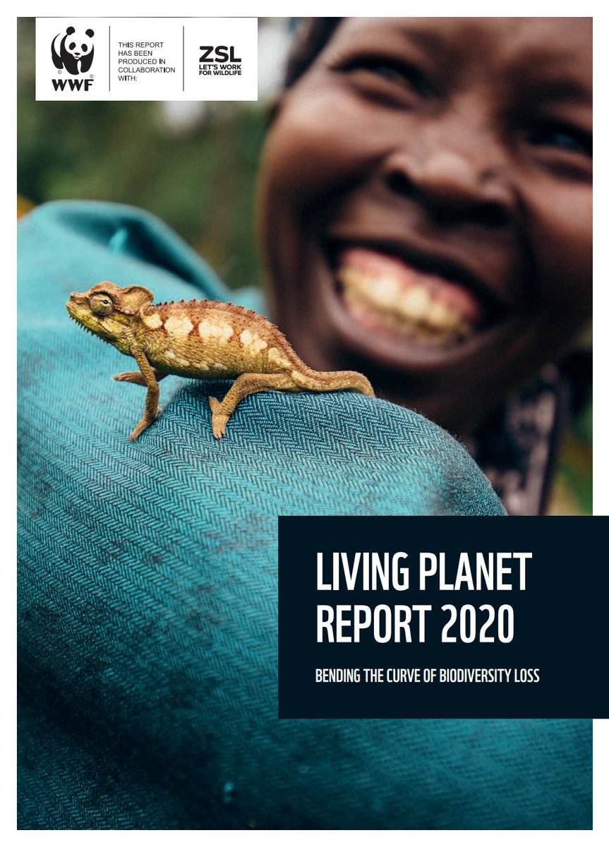 Today I want to do a thread about a hugely important report: the  @WWF'sLIVING PLANET REPORT 2020I'll also explain why this report makes me want to redouble my efforts to accelerate the switch to electric vehicles and renewable energy. https://f.hubspotusercontent20.net/hubfs/4783129/LPR/PDFs/ENGLISH-FULL.pdf