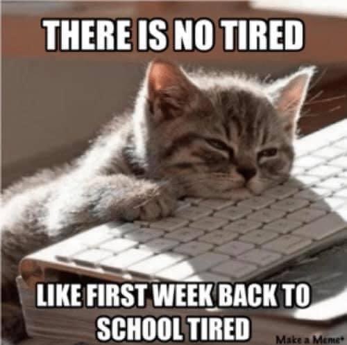 lil_lucy_d's tweet image. Second week back, but first full week back. I fell asleep at 9:30 pm last night. Even had a child ask me if I was ok. As apparently I look pale &amp;amp; therefore ill. Little do they know I am always pale! #PaleIsTheNewTan #TAProblems #School