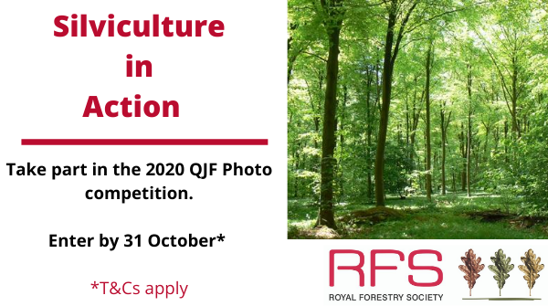 royal_forestry's tweet photo. Out and about this month? Take your camera. The RFS invites members to submit outstanding photographs to its 2020 competition by 31 October on the theme Silviculture in Action. https://t.co/hHBQAJnaza #silviculture #treepictures https://t.co/7LSv68cJcY