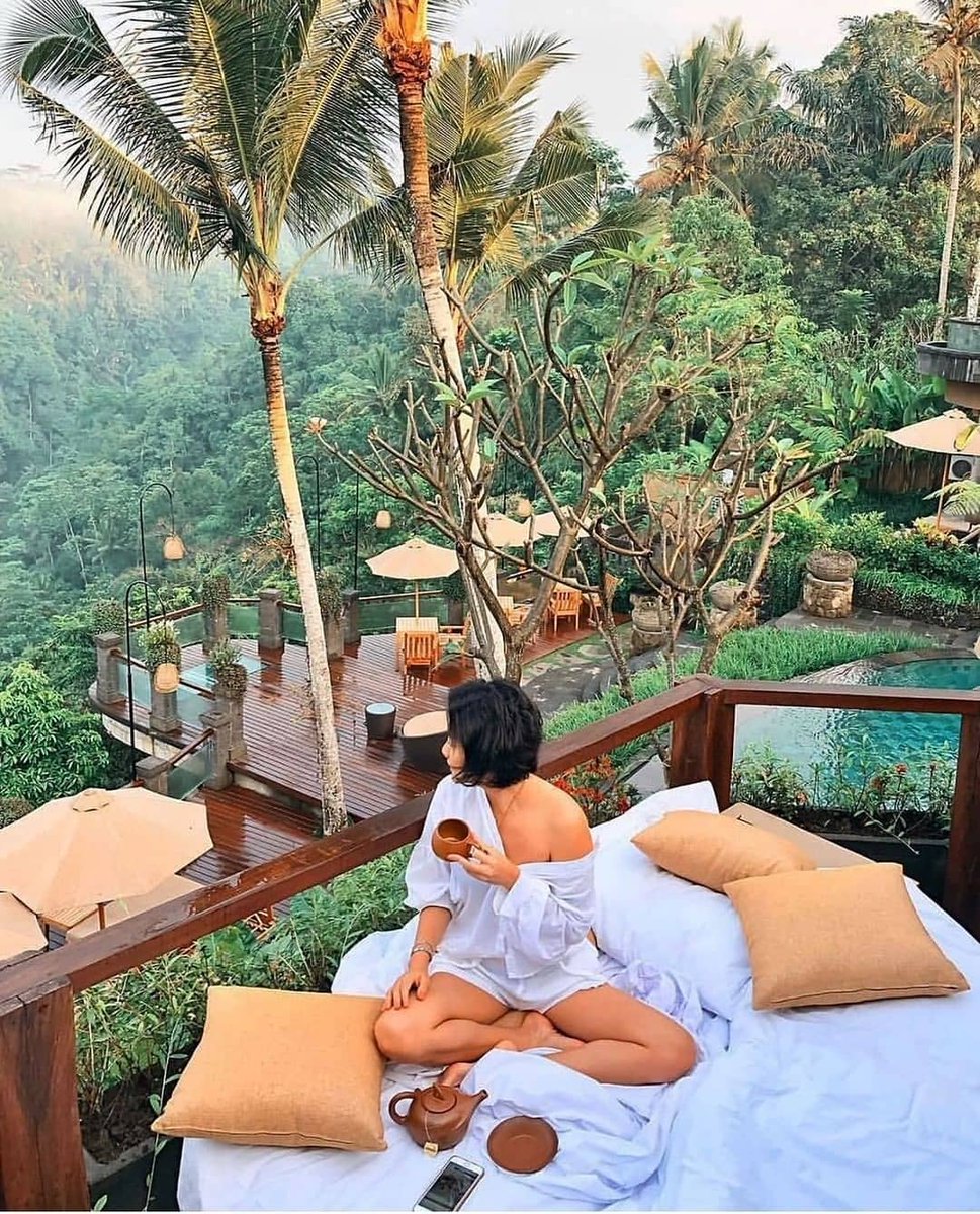 comangotravels's tweet photo. Nothing sounds more blissful than a fresh pot of tea high up in the jungle π΅ Who would you love to be here with? πβ - @hungryin.baliβ
β
πΈ by @tinihitakaraβ
.β
.β
#ubudlife #ubudresorts #ubudfood #balifood #foodporn #foodgram #breakfast #holiday #baliholiday https://t.co/EXtbmz0mqJ