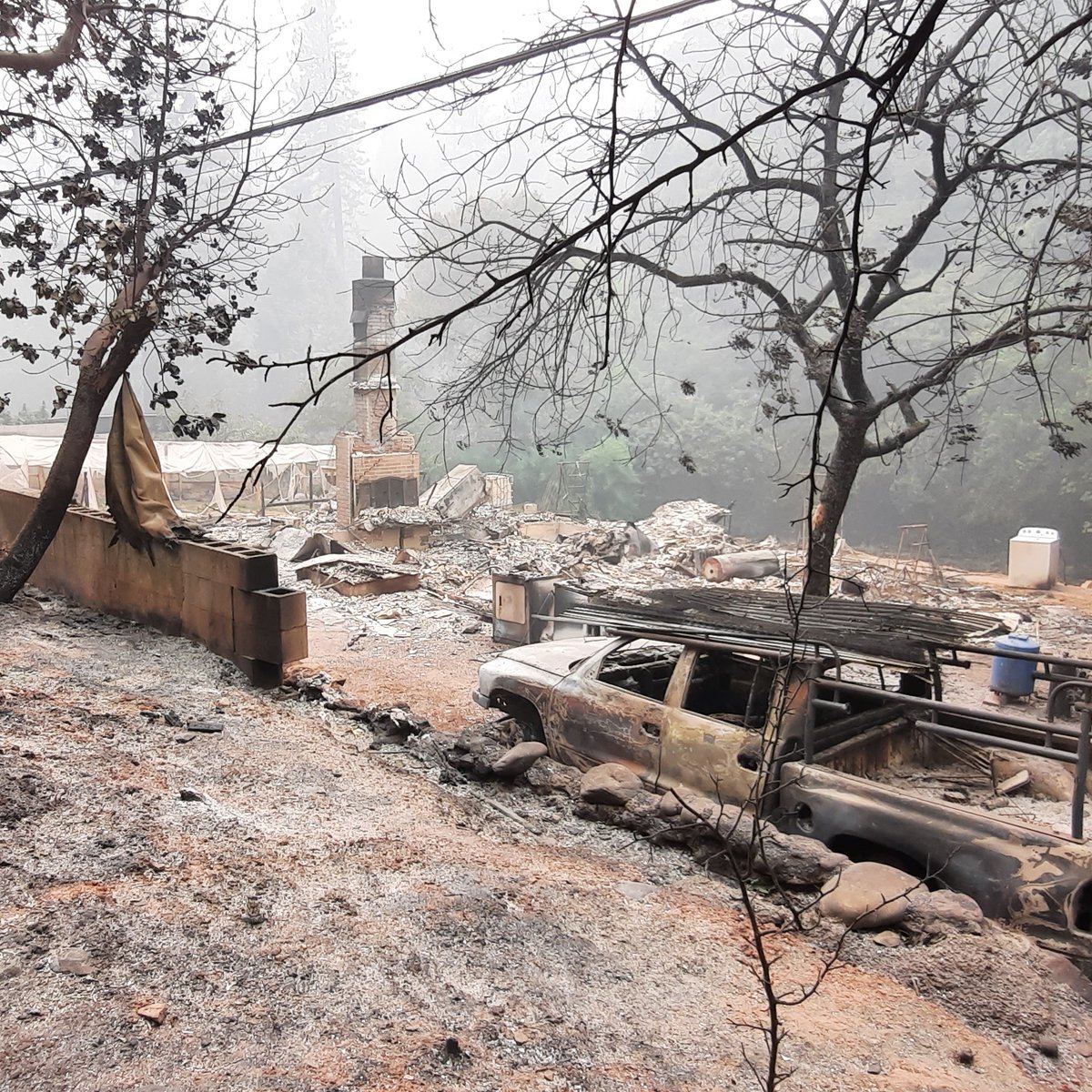 BenjaminIlly's tweet image. Voitures et maisons brûlées #Oroville #BerryCreek #northcomplexfire #California @int3rnationalRF