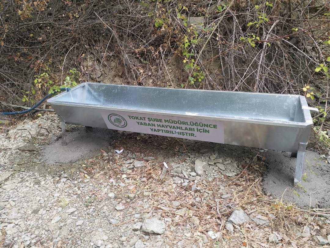 Tokat Doğa Koruma ve Milli Parklar Müdürlüğü tarafından yaptırılan ve il sınırları içerisinde su sıkıntısı bulunan bölgelerde yaban hayvanlarının su ihtiyaçlarını gidermesi için yerleştirilen yalaklar. 
Emeği geçenlere teşekkürler 👏👏👏