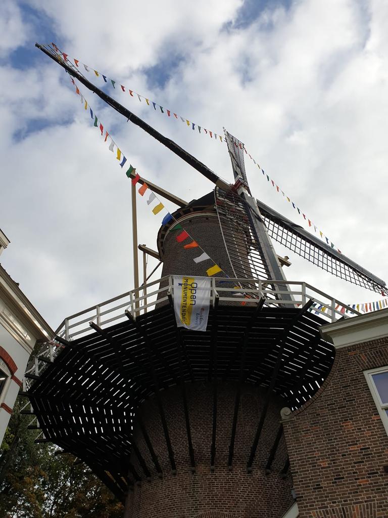 De 4 Goudse molens tweet media