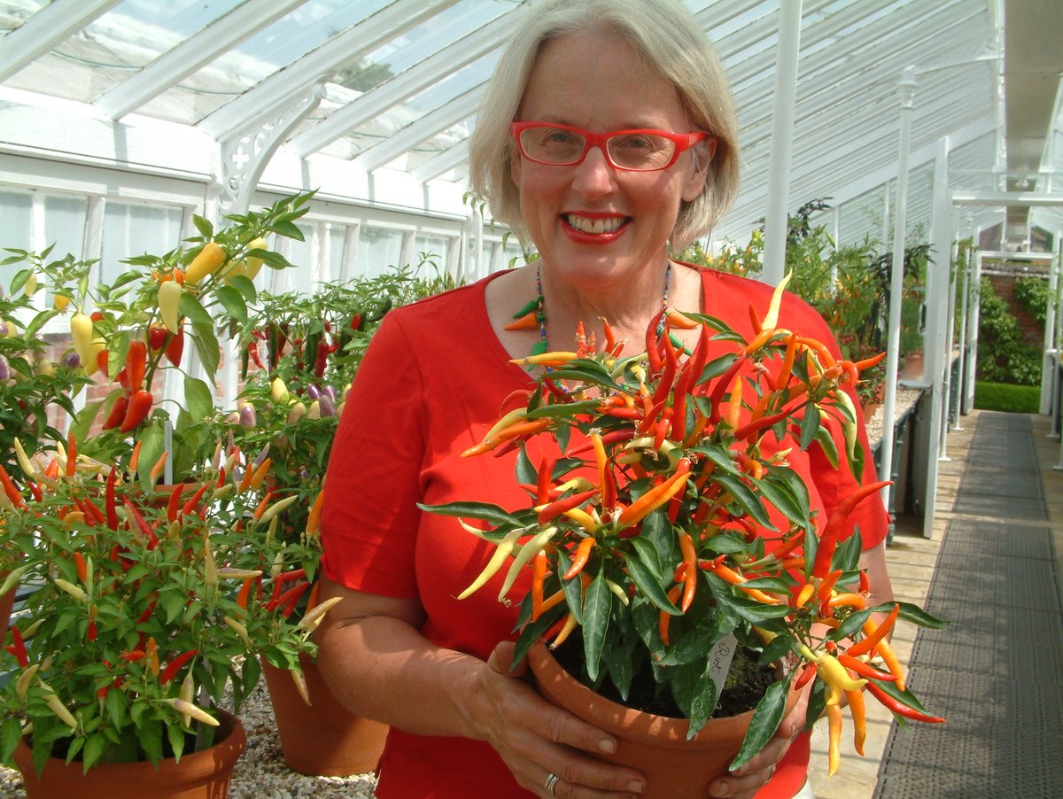 Royal Windsor RHS tweet media