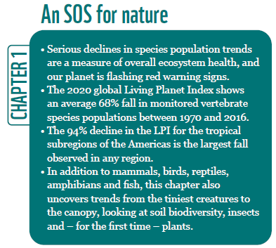 Chapter 1 shows we are losing biodiversity at an alarming rate. It really helped me to wrap my head around what is happening.Of course it has an activist streak, but I would not hesitate to recommend it as a high school or university textbook. It's that good imho.