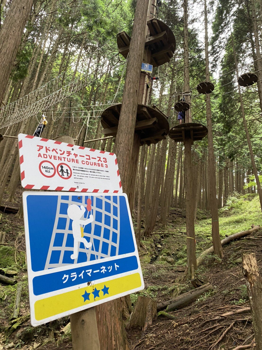 冒険の森 Twitter Search Twitter